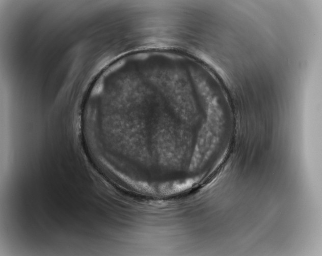 X0000094341459200711301239