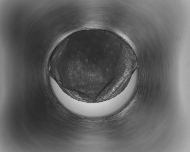 X0000094341461200711301239