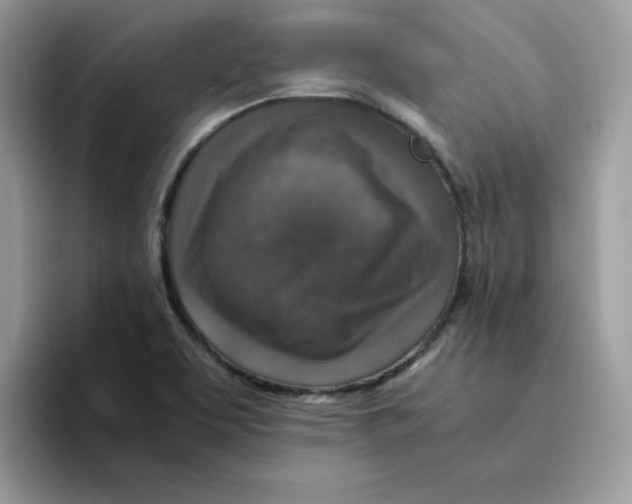 X0000094341463200711301239