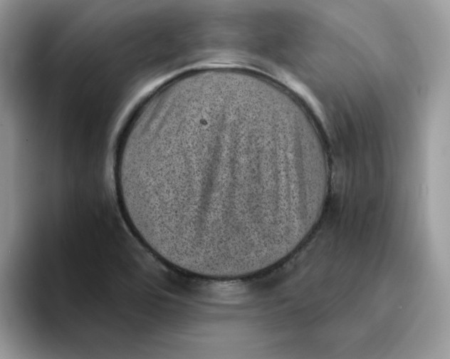 X0000094341464200711301239