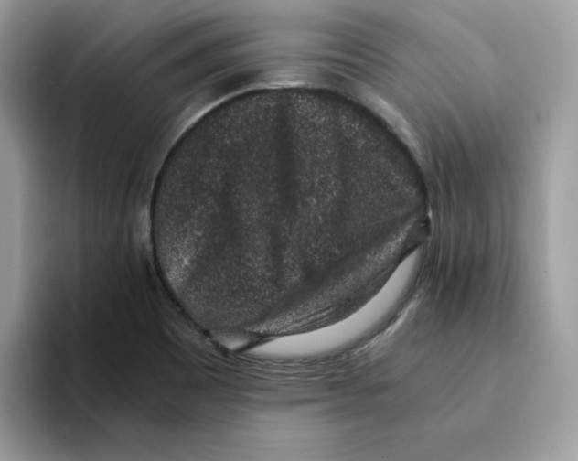 X0000094341465200711301239