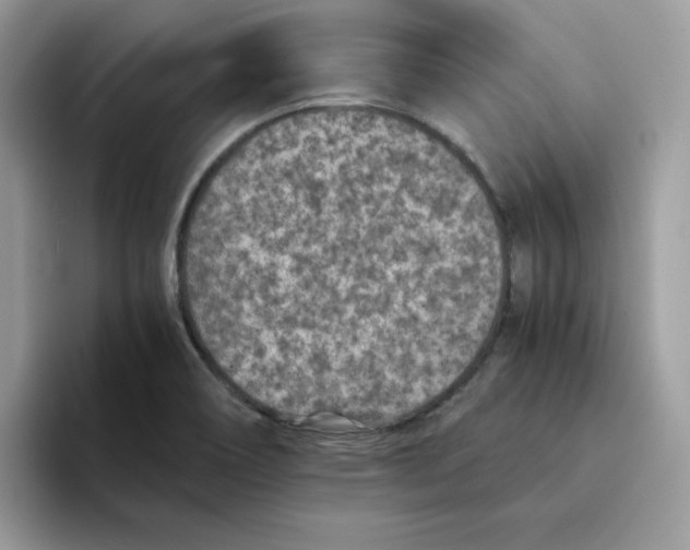 X0000094341466200711301239