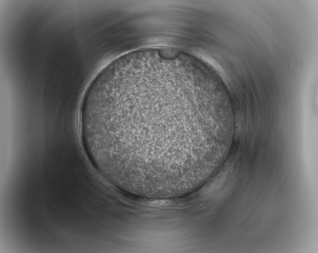 X0000094341467200711301239