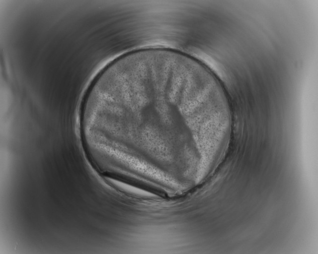 X0000094341468200711301239