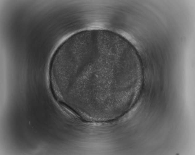 X0000094341469200711301239