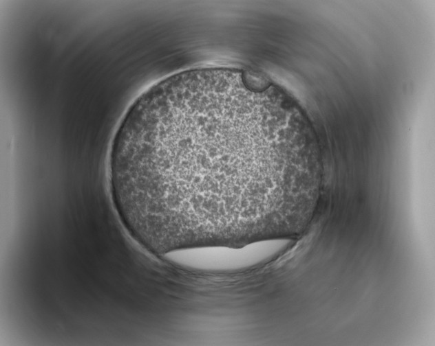 X0000094341471200711301239