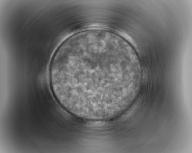 X0000094341474200711301239