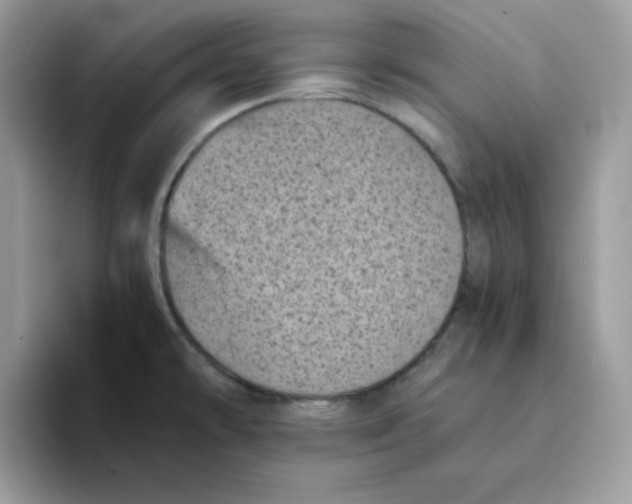 X0000094341478200711301239