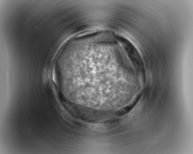 X0000094341481200711301238