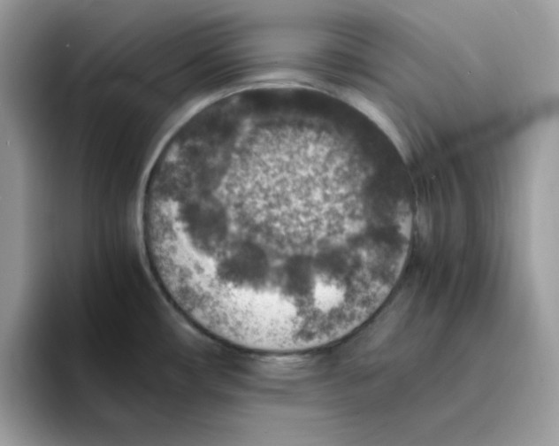 X0000094341482200711301238