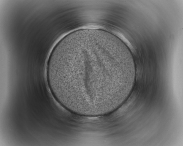 X0000094341484200711301238