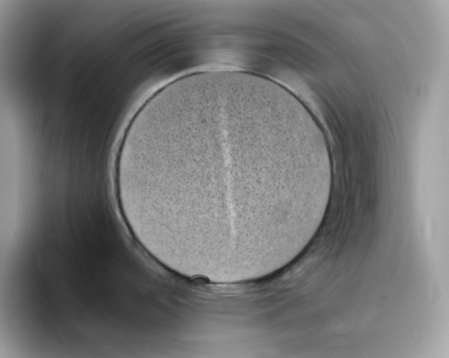 X0000094341488200711301238