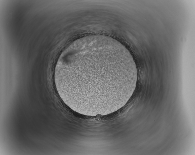 X0000094341489200711301238