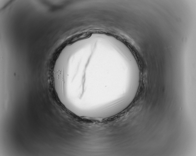 X0000094341496200711301238