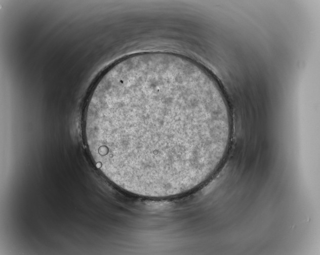 X0000094341498200711301238