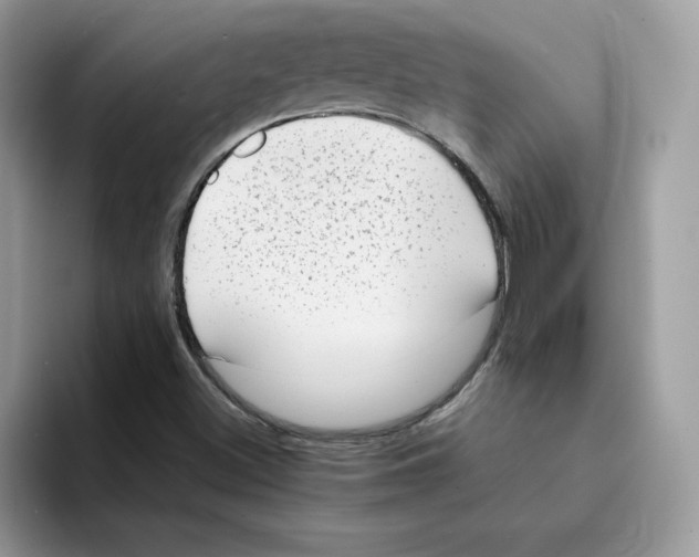 X0000094341500200711301238