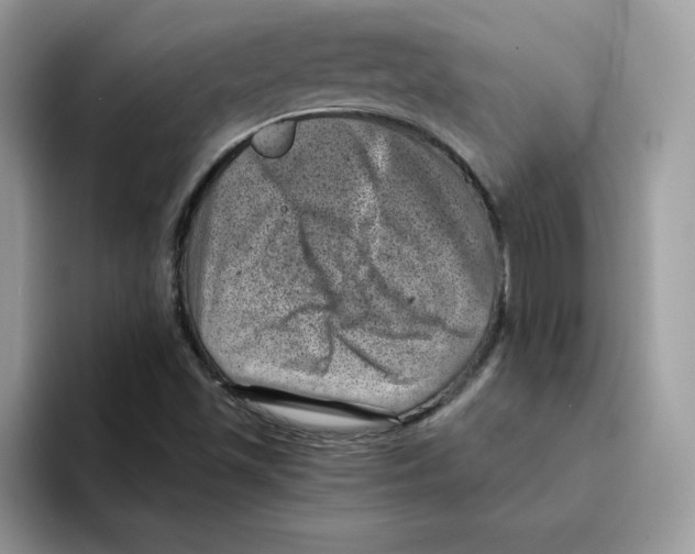 X0000094341501200711301238