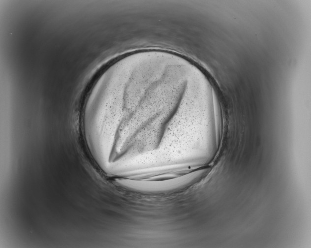 X0000094341503200711301238