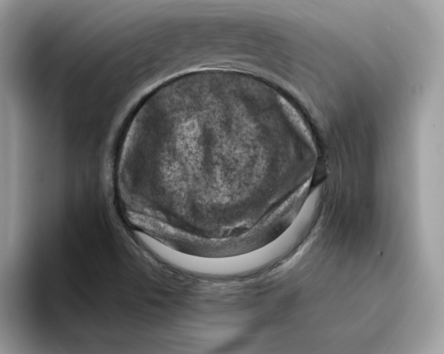 X0000094341506200711301238