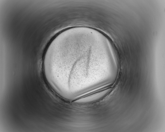 X0000094341507200711301238