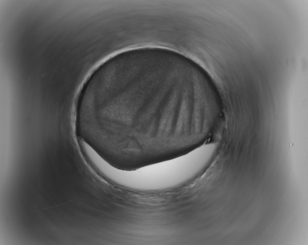 X0000094341508200711301238