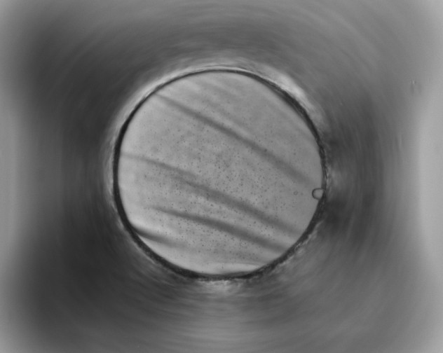 X0000094341512200711301238