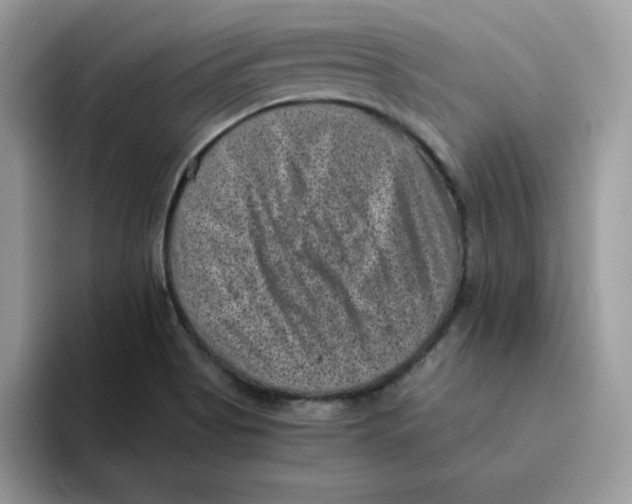 X0000094341513200711301238