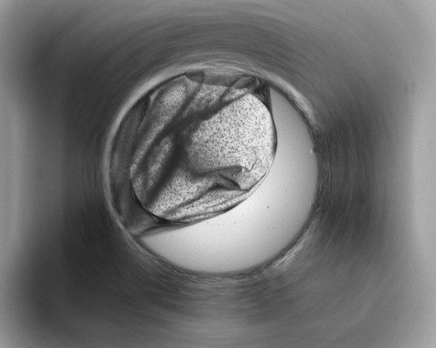 X0000094341514200711301238