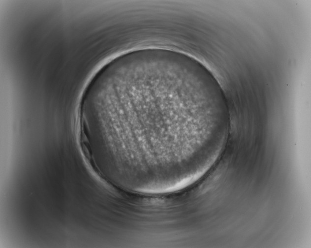 X0000094341515200711301238