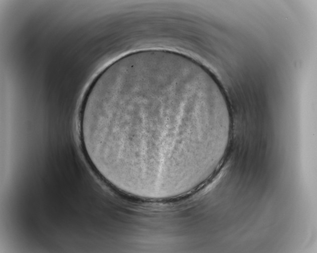 X0000094341517200711301238