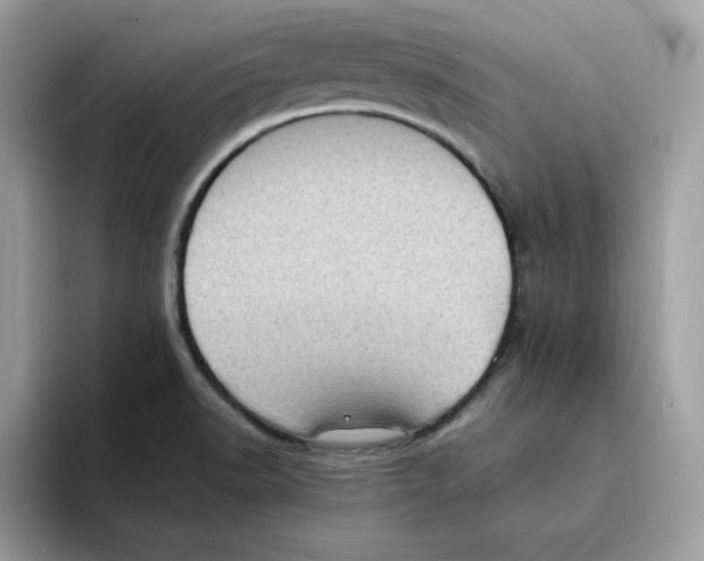 X0000094341518200711301238