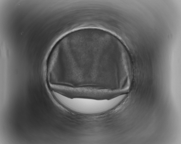 X0000094341519200711301238