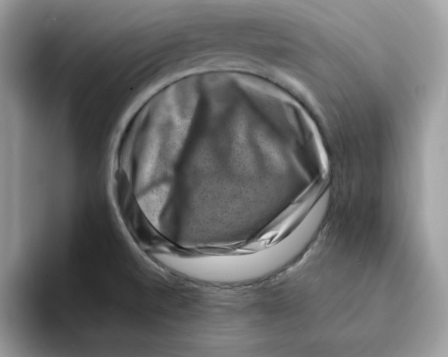 X0000094341520200711301238