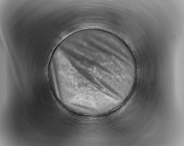 X0000094341521200711301238