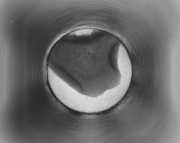 X0000094341522200711301238