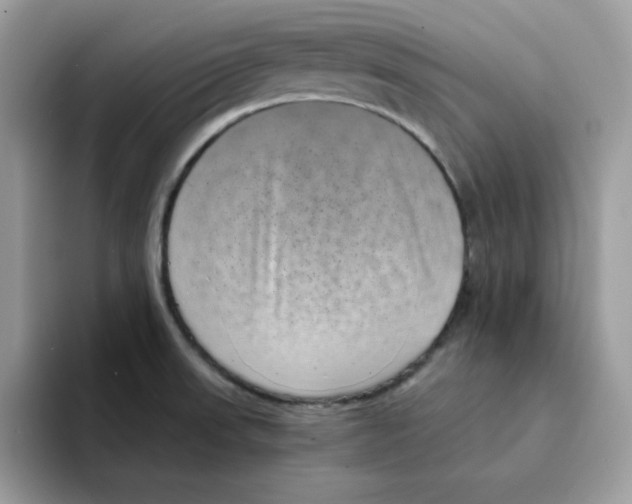 X0000094341523200711301238