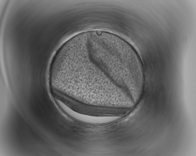 X0000094341525200711301238