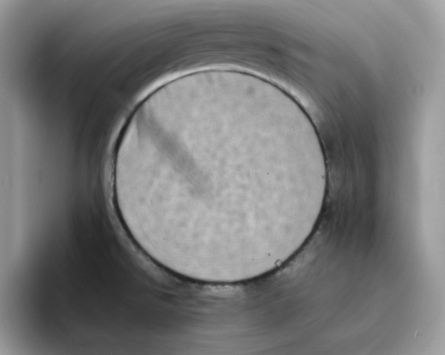 X0000094341526200711301238