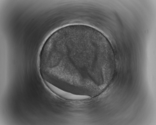 X0000094341527200711301238