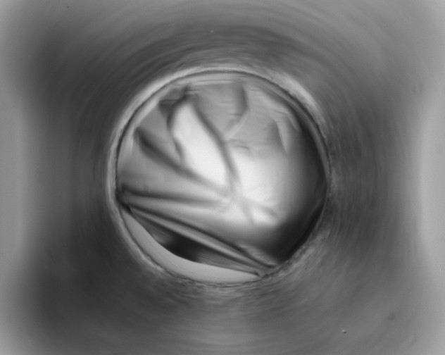 X0000094341528200711301238