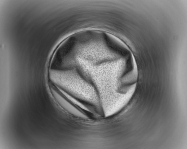 X0000094341530200711301238