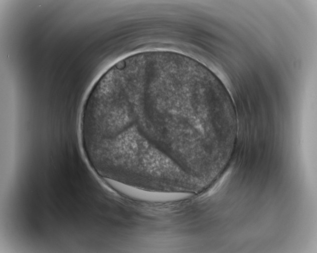 X0000094341533200711301238