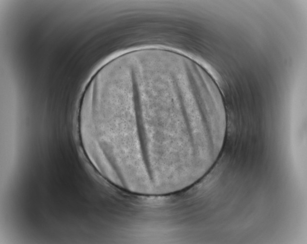 X0000094341534200711301238