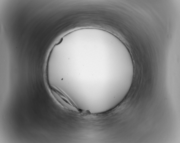 X0000094341536200711301238