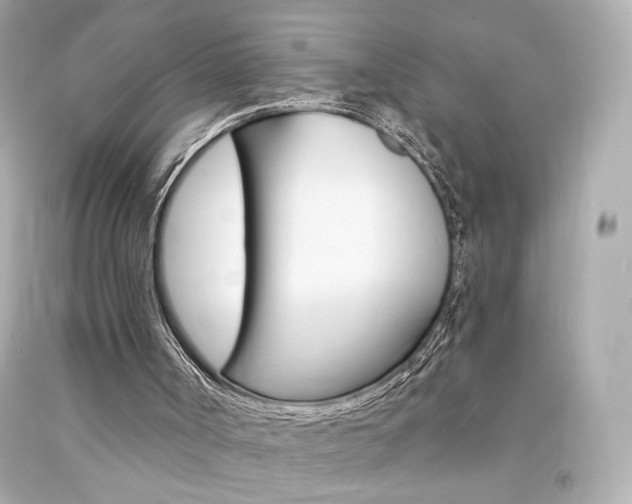 X0000094350002200711021323