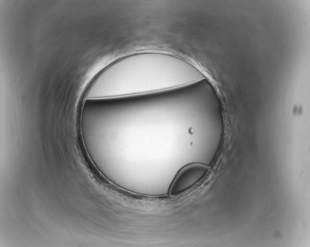 X0000094350008200711021323