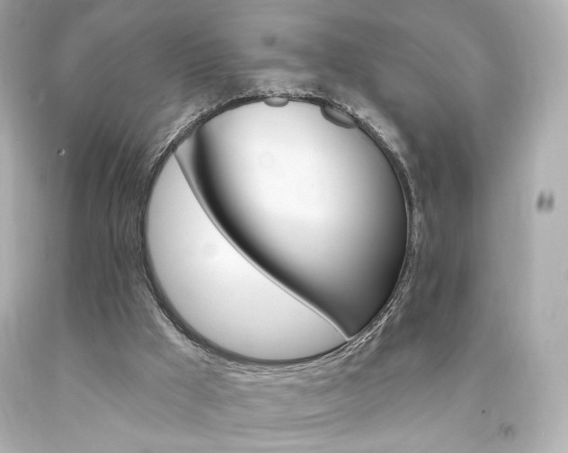 X0000094350009200711021323