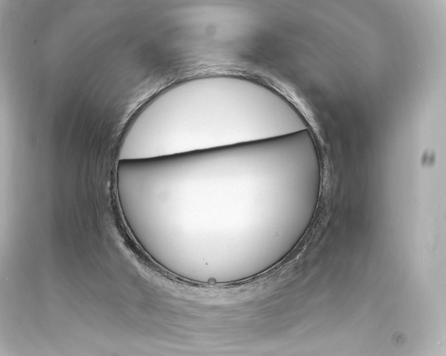 X0000094350010200711021323