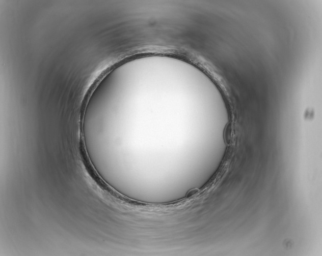 X0000094350011200711021323