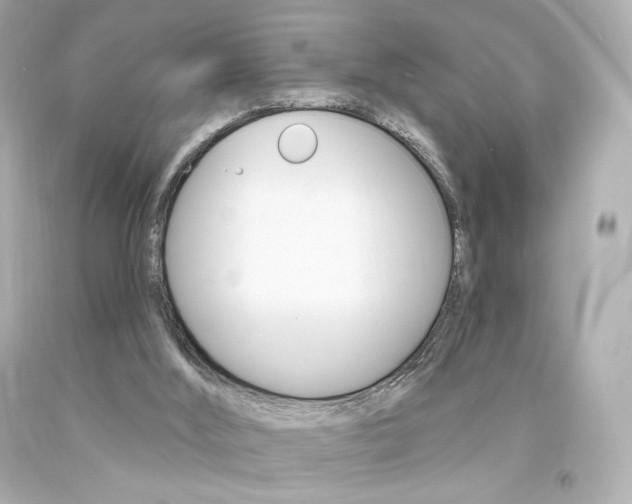 X0000094350012200711021323
